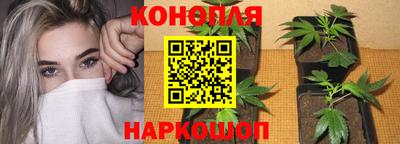 гашик Коммунар