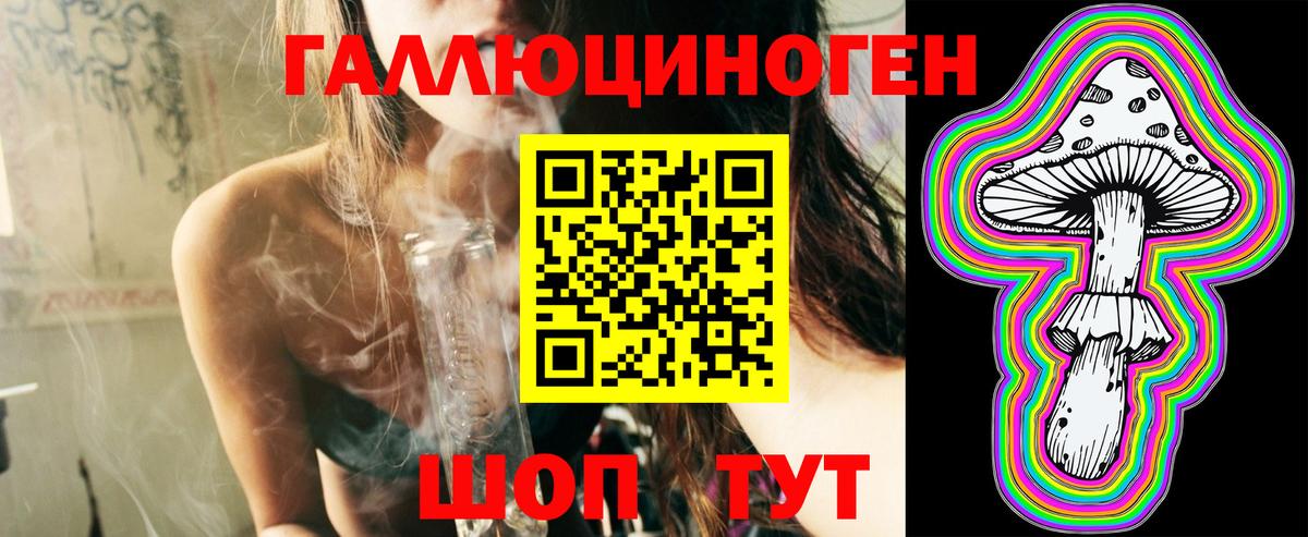 Галлюциногенные грибы GOLDEN TEACHER  Вход с VPN  Вязьма  Галлюциногенные грибы GOLDEN TEACHER 